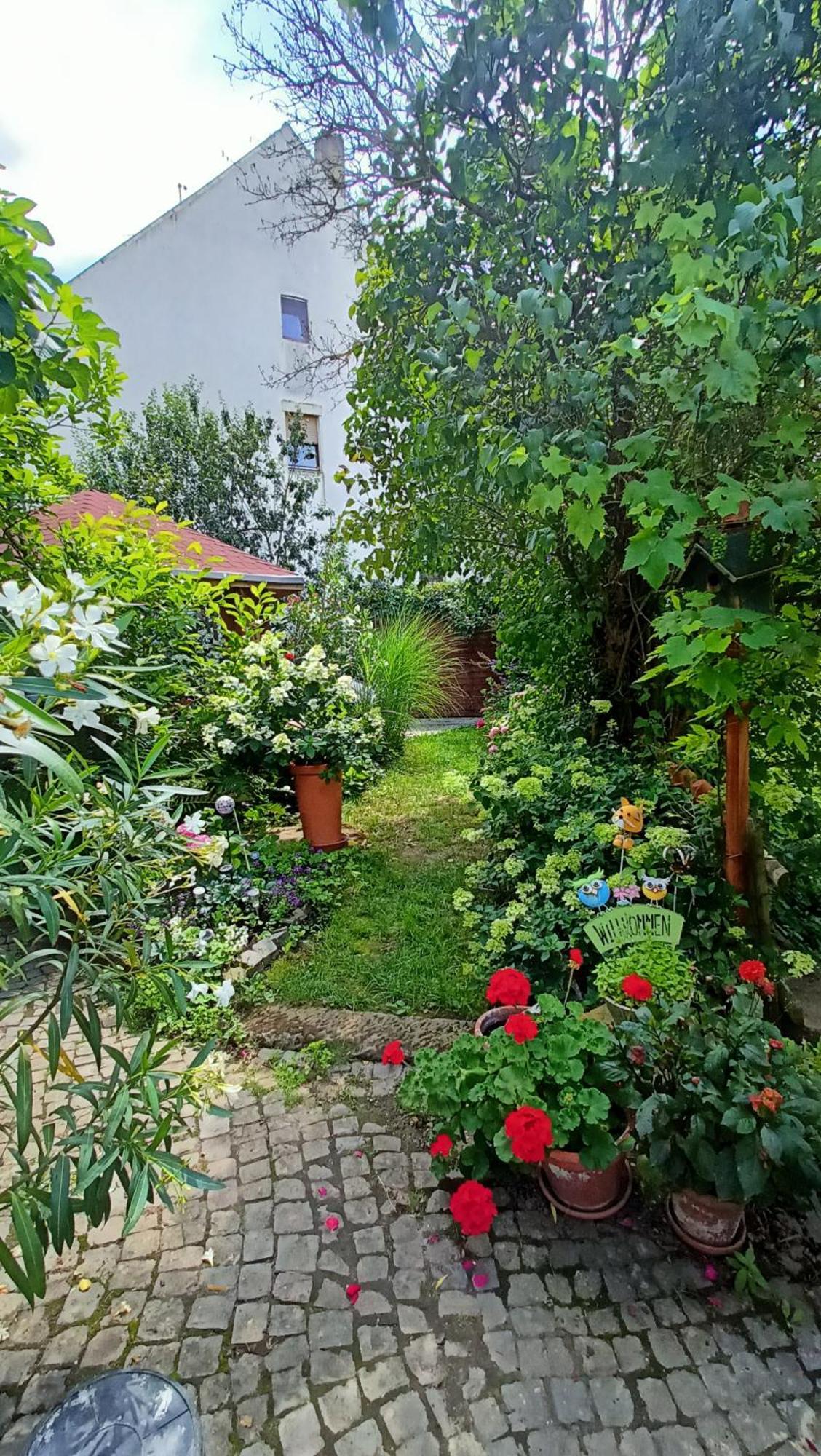 Urlaub Mit Charme In Der Kleinsten Stadt Der Pfalz. Obermoschel Экстерьер фото